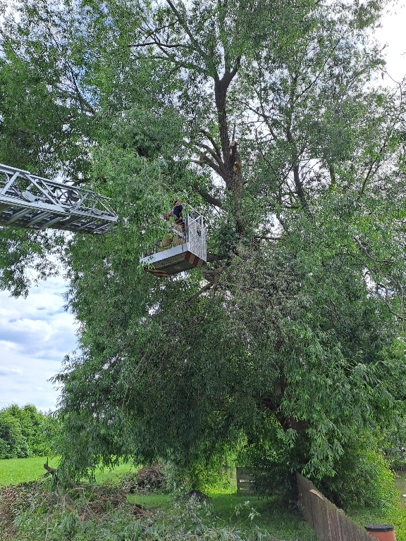 Hilfeleistung Hilfeleistung
